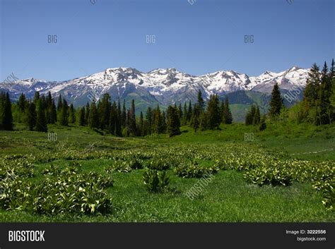 Image result for Mountian SpringSource