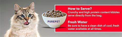 Purepet Persian Ocean Fish Cat Food for Adult, Pellet, 1.2 kg : Amazon ...