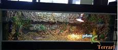 vasche x tartarughe d acqua costruire un terrario per tartarughe vasche x tartarughe d acqua costruire un terrario per tartarughe