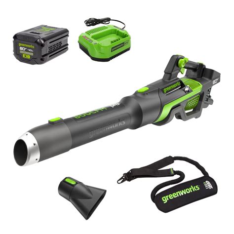 https://www.greenworkstools.com/cdn/shop/files/2439602__ATFCostcoKit-1.jpg?v=1724854009
