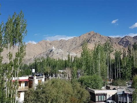 ZOSTEL LEH (Ladakh) - Hostel Reviews & Photos - Tripadvisor