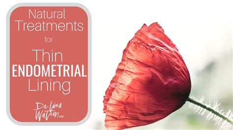 Natural Treatments for Thin Endometrial Lining | Dr. Lisa Watson