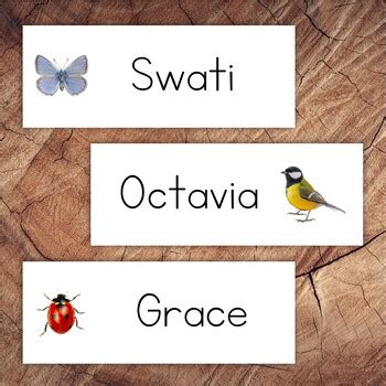 Spring Cubby Labels, Editable Labels by Little Spark Company | TPT