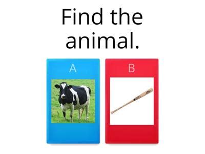 Image result for Naming Objects