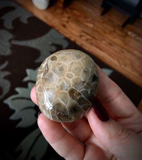 Beautifully Hand Polished Petoskey Stone!!