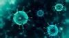 UV-C Disinfection Services | Signify India