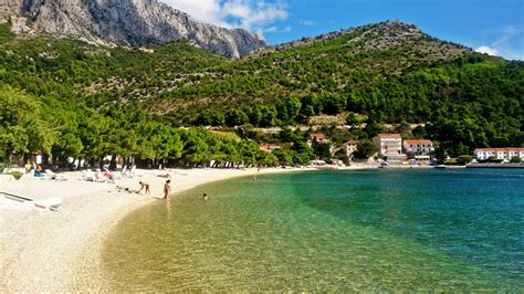 Luxusessen auf Kroatisch: Garnelen auf Buzara-Art | Sugar & Spice