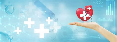 Accelerated MSN Programs 的图像结果