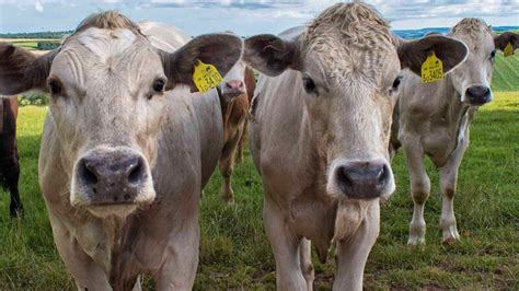 Wildfire smoke creating hazy skies in Las Vegas Valley