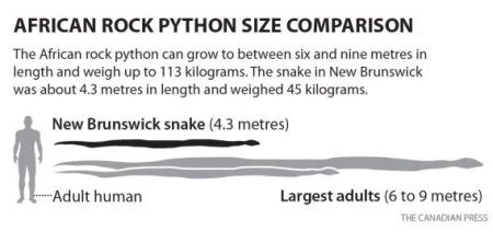 NB the Python Episode 1 的图像结果