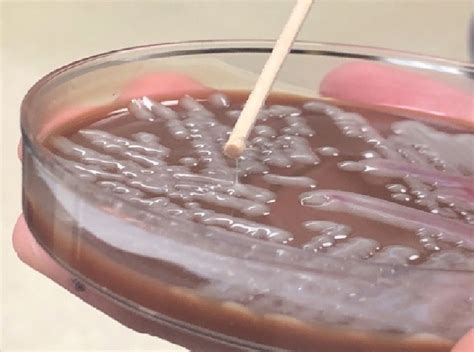 Image result for String Test