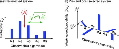 Projective Measurement 的图像结果