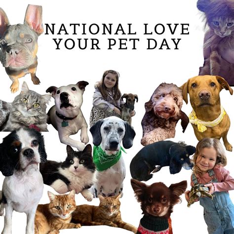 NATIONAL LOVE YOUR PET DAY - Katherine Harriet | Bespoke Home Care