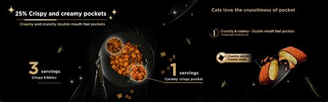 Dry Food | Sheba IN