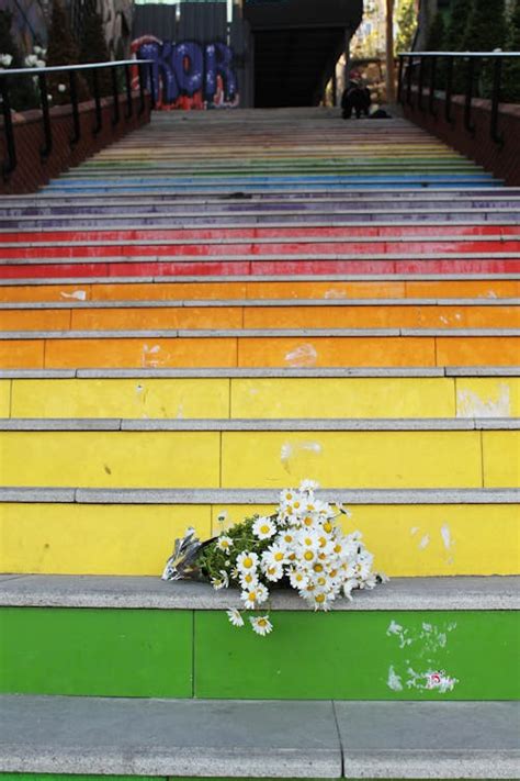 Image result for Colorful Steps