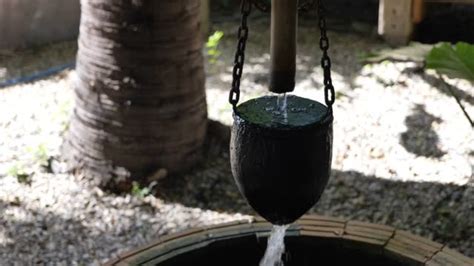 Image result for Overflow Pot