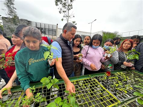 Local Development Initiatives 的图像结果