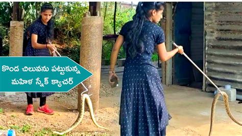 Python Snake Woman 的图像结果