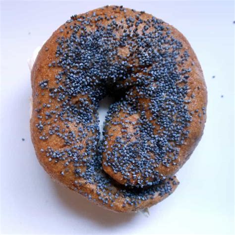 Poppy Seed Bagel