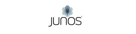 Junos Python Script Example 的图像结果