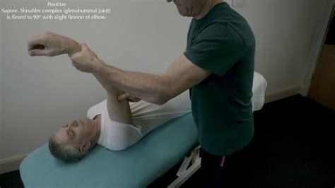 Image result for Testing Triceps