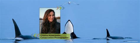 Aboard Sealegacy 1: Documenting our Blue Planet, Des Moines Performing ...