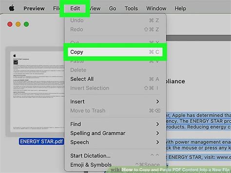 Image result for How to Copy and Paste PDF File