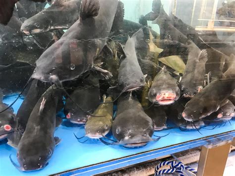 PHOTOS: Inside Jungle Jim’s, one of Ohio’s most unique shopping experiences