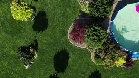 Man Removing Cut Grass From Flowerbeds. 24347345 Stock Video at Vecteezy