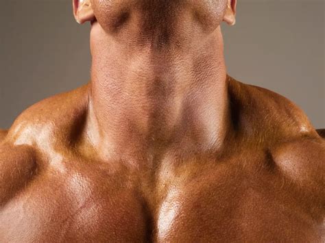 Image result for Musculation Du Cou Exercice