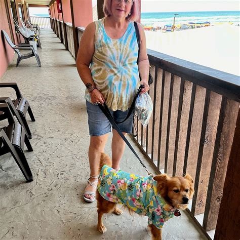 WANNA WANNA INN - Prices & Hotel Reviews (South Padre Island, TX)