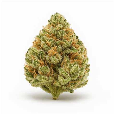 Juicy Fruit Strain | Effects, Flavors & Growing Info