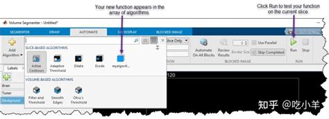 Image result for Volume Segmenter MATLAB Tutorial