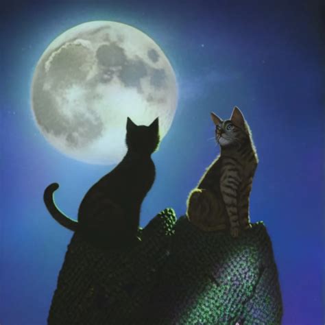 Chat with Warrior cats - text or voice, Enjoy AI Chat Free & Safe