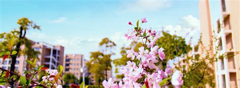 江西卫生职业学院举行2019年新生开学典礼-教育-大江网（中国江西网）