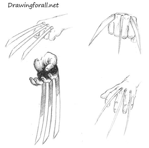 Image result for Wolverine Claws Hand Drawing