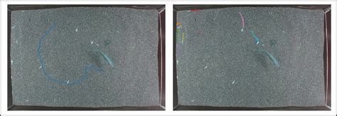 Motion Tracking Using Python 的图像结果