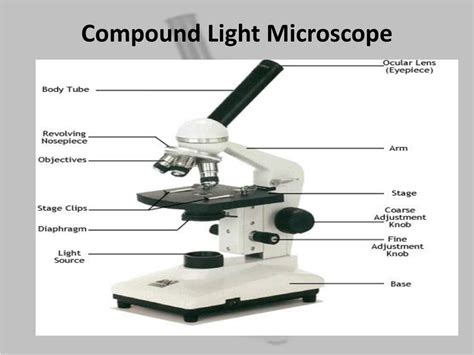 Image result for Compound Light Microscope