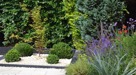 Contemporary minimalist urban garden - Thrity Mama Garden Design