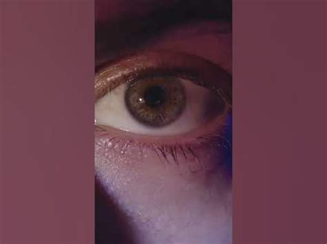 Image result for Houdini 18 Tutorials