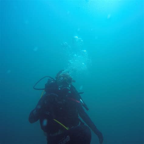 BUCEAMAR (2025) All You Need to Know BEFORE You Go (with Photos ...