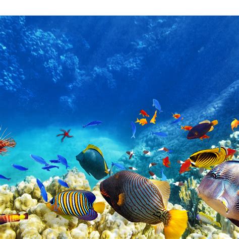 INTERNATIONAL RABBIT DAY - September 26, 2026 - National Today