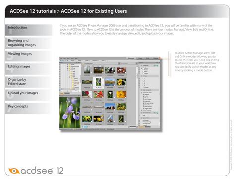 Acdcee Tutorials 的图像结果