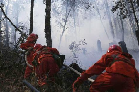 直击丨1580人、4架直升机参与四川雅江森林火灾扑救|森林火灾|扑救|直升机_新浪新闻