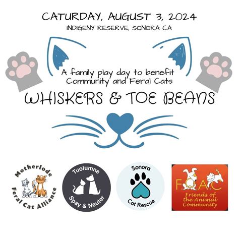 Whiskers & Toe Beans, Indigeny Reserve, Sonora, 3 August 2024 | AllEvents