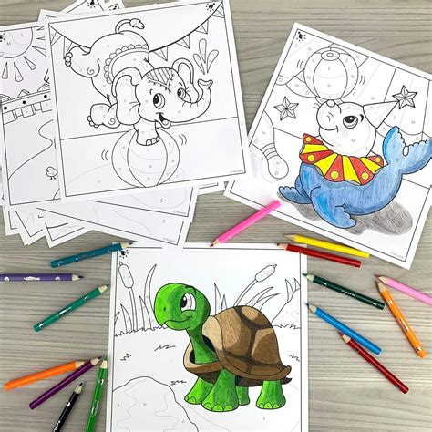 Image result for Color Shaders