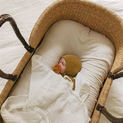 Baby Moses In Basket