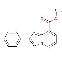 Shanghai Chainpharm Bio-medical Technology CO.,Ltd
