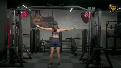 Gym Machines - Chest Press Hammer Manufacturer from Jalandhar