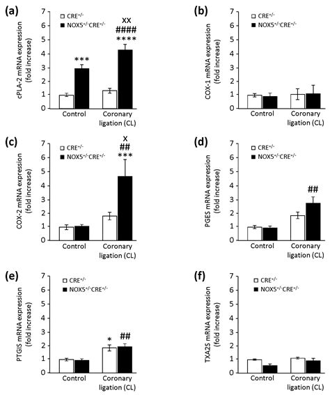 Induction of Cyclooxygenase-2 by Overexpression of the Human NADPH ...